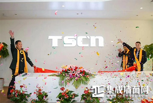 TSCN集成墙面