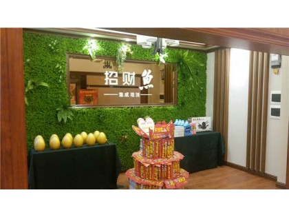 艺辉·招财鱼集成艺术专家福建德化专卖店