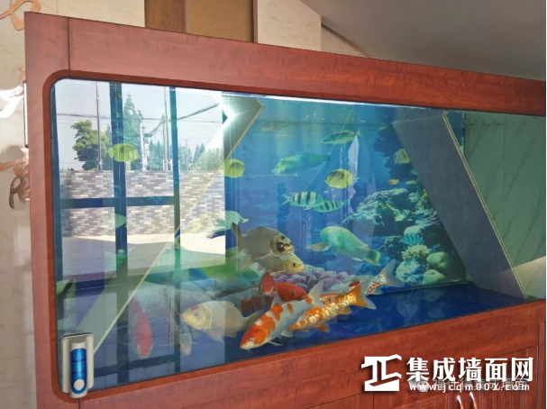 微信图片_20180528152103