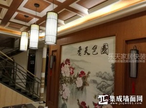 乐天集成墙面武穴专卖店装修实景图