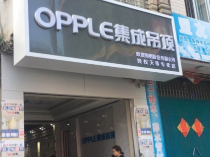OPPLE集成家居广西天等专卖店