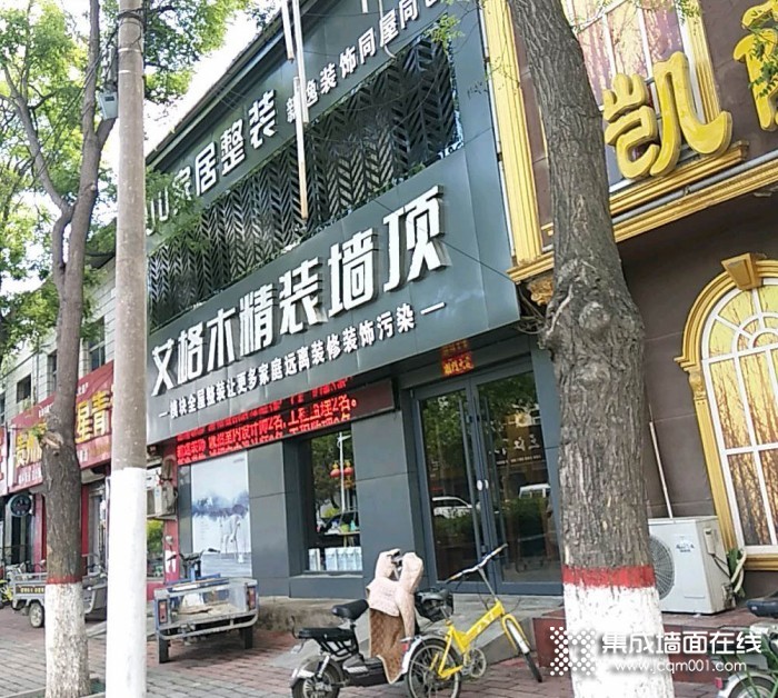 艾格木集成墙顶河北安国专卖店