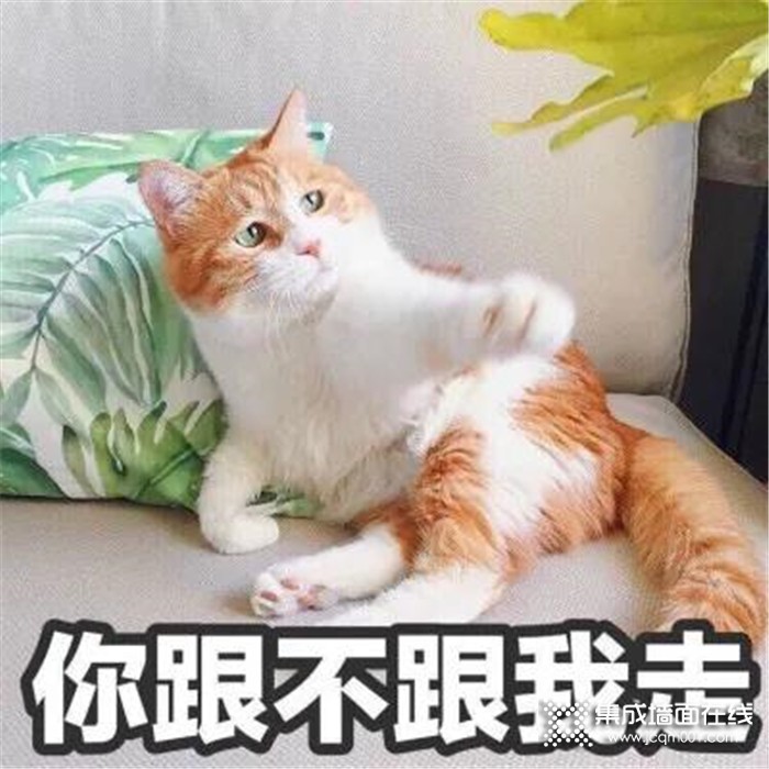 今天带大家走进云时代规范化标准生产车间，一起来看看吧