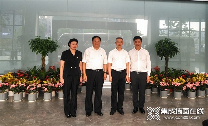 嘉兴市委、丽水市委党政代表团莅临鼎美考察