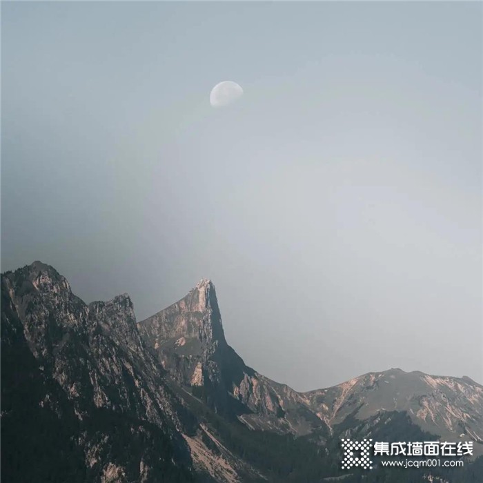 上海展，艾格木，森林、山石、光影与你我