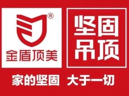 如何选品牌？金盾顶美为你快速揭秘！