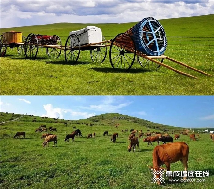 蒙古旅游，值得你来 | 品格送我去旅游啦！