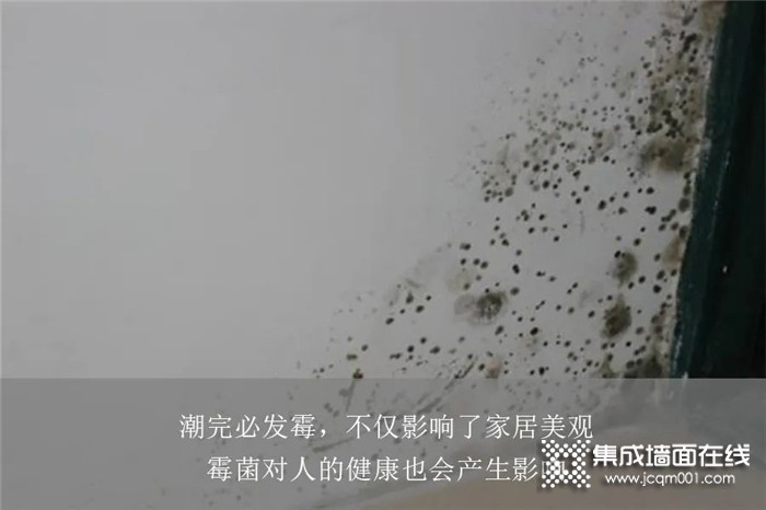 墙面发霉怎么办？选对格勒墙板，霉菌不复存在