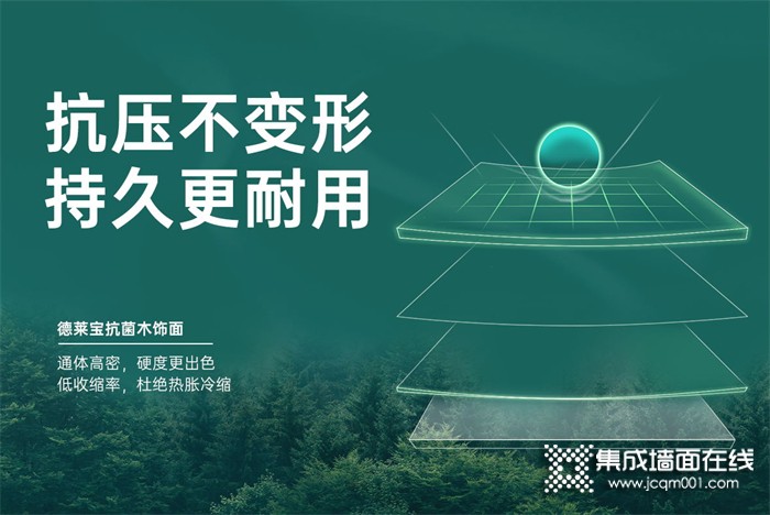 论“健康、环保、耐用”，德莱宝“抗菌木饰面”必须占墙板C位！