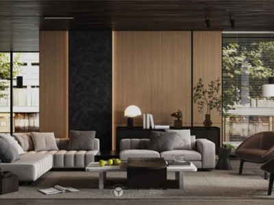 奥华|101百变的家丨11款沙发背景墙美出天际，2023装修必选！