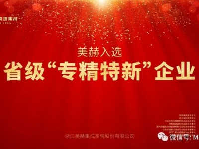 恭喜美赫成为浙江省“专 精 特 新”型企